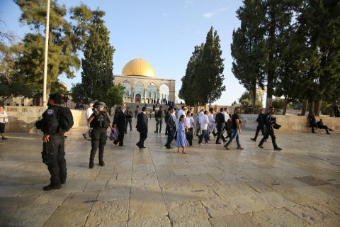 القدس - مئات المستوطنين خلال اقتحامهم ساحات المسجد الأقصى.jpg