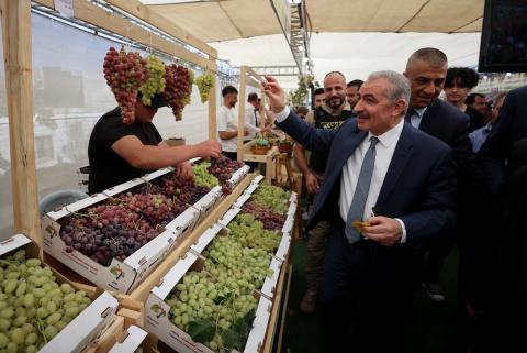 مهرجان العنب الفلسطيني التاسع في مدينة حلحول.jpg