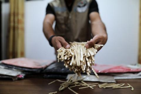 المكافحة بقطاع غزة تحبط تهريب كمية حبوب مخدرة عبر معبر أبو سالم.jpg