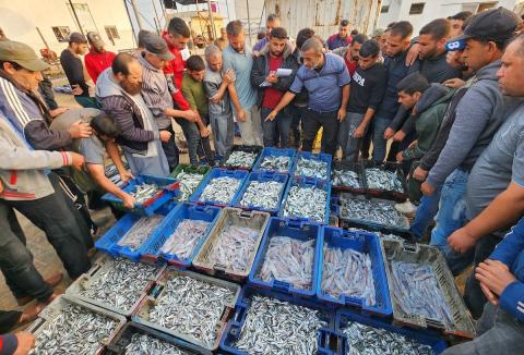 صيادون فلسطينيون يبيعون الأسماك في ميناء خانيونس جنوب قطاع غزة وسط الاعتداءات الإسرائيلية اليومية عليهم.jpg