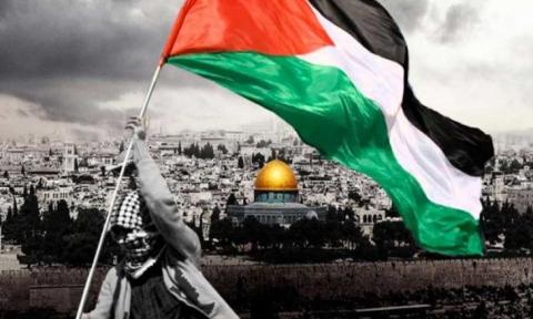 فلسطين-9-730x438.jpg