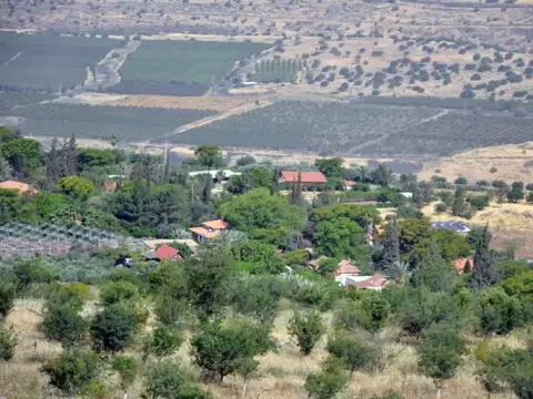 الجولان.webp