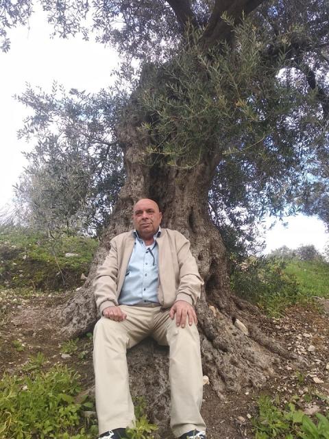 مامون أحمد مصطفى