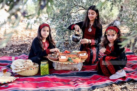 أجواء تراثية فلسطينية اثناء قطف الزيتون في بلدة نعلين غرب رام الله.jpg