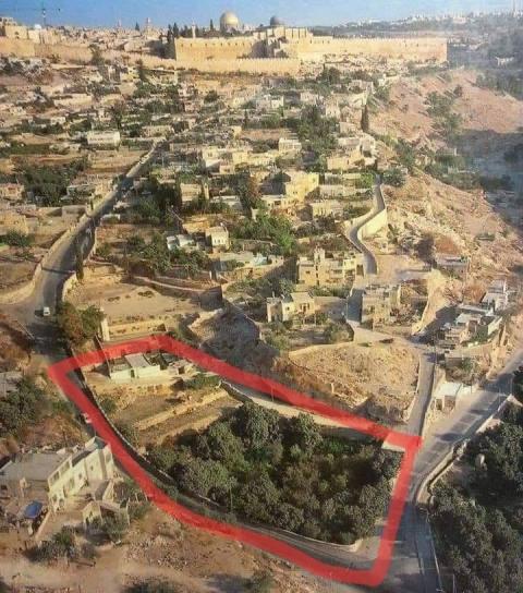 الأرض التي استولى مستوطنون عليها في واد حلوة.jpg