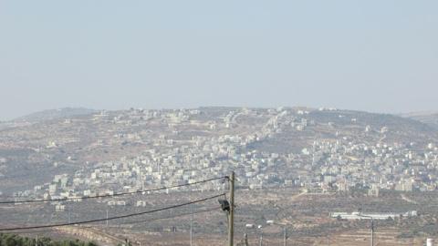 عقربا  1.JPG
