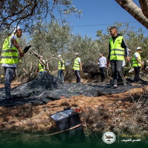 "بيت مال القدس" ينفذ مشروعات في القدس بقيمة 3.2 مليون دولار خلال عام 2022