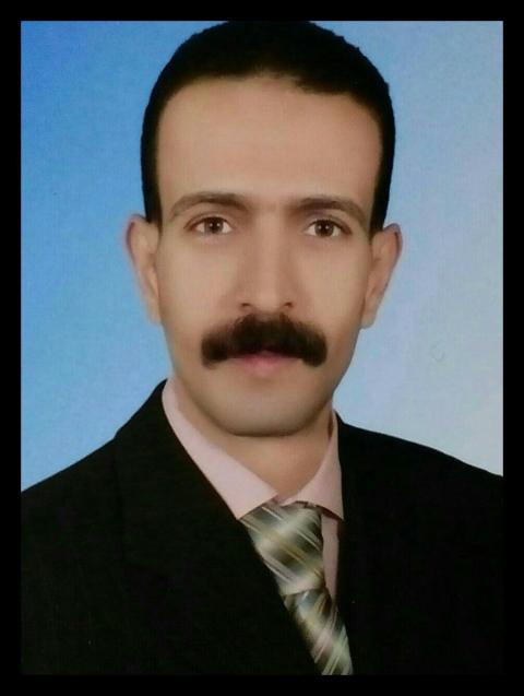 المهندس عاطف عبد العزيز