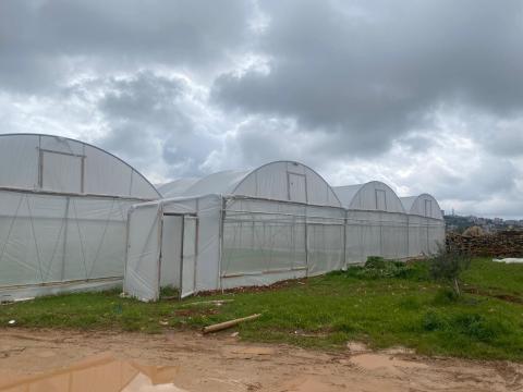 توقعات الأرصاد الفلسطينية للحالة الجوية