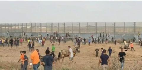 إصابات برصاص الجيش الإسرائيلي شرق قطاع غزة