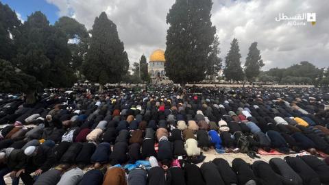 القدس - 250 ألفا يؤدون صلاة الجمعة الثانية من شهر رمضان في المسجد الأقصى