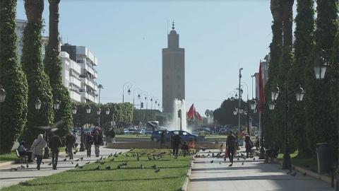 شركة إسرائيلية مصنعة لمعدات الري تفتح أول فرع لها بالمغرب وشمال إفريقيا