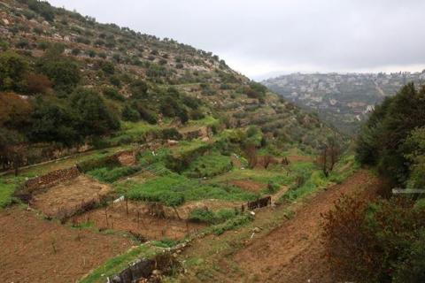 مشاهد لـعين الهوية في قرية حوسان غرب بيت لحم.jpg