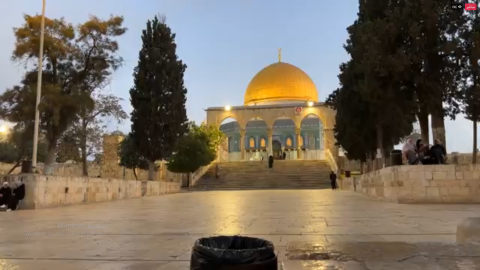 "التعاون الإسلامي" تعقد اجتماعا طارئا السبت المقبل