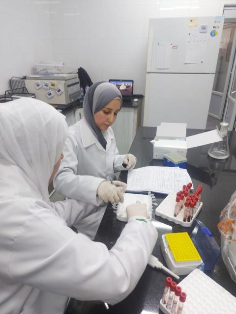 اجراءات كبيرة لمراقبة الأضاحي المستوردة في قطاع غزة.jpg