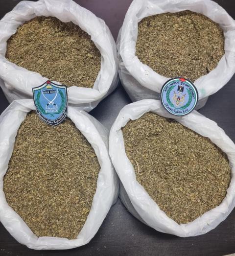 Untitled.jpg