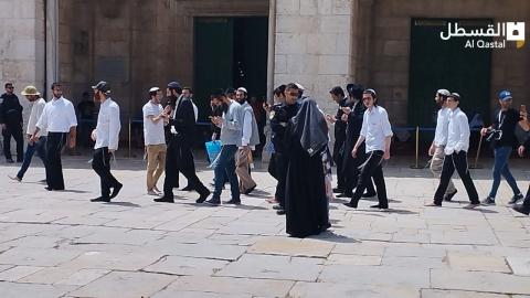 أوقاف القدس: 1262 اقتحموا الأقصى منذ صباح اليوم