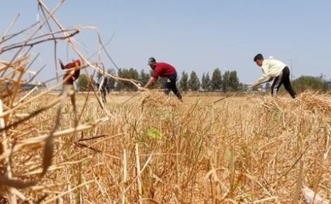 طقس فلسطين: ارتفاع ملموس على درجات الحرارة
