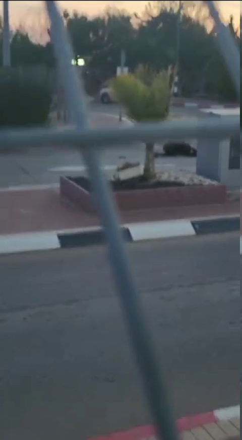 مقتل إمرأة يهوديّة برصاص الجيش الإسرائيلي جنوب الخليل
