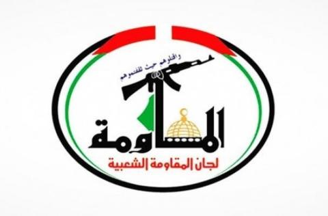 لجان المقاومة في فلسطين.jpg