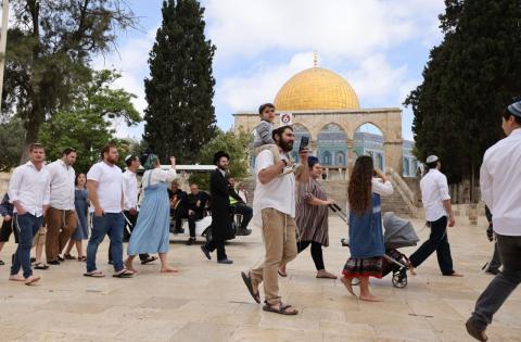 "مجلس أوقاف القدس" يحذّر من خطورة استهداف الأقصى والاعتداء على العاملين والمرابطين فيه
