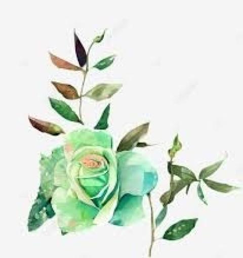 الورد والآس الأخضر.jpg