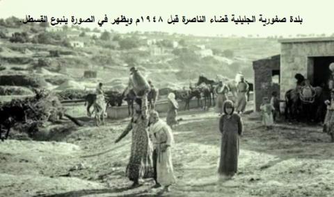 صفورية قبل النكبة.jpg