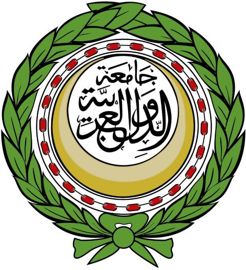 "الجامعة العربية" تُسلم مرافعة مكتوبة لمحكمة العدل الدولية