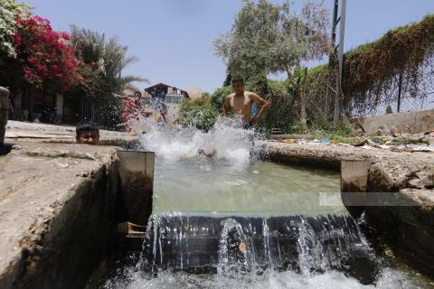 مواطنون يسبحون في نبع عين السلطان قرب اريحا هربا من ارتفاع درجات الحرارة.jpg