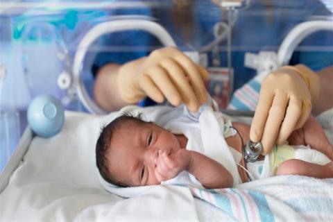 إحصائية: قطاع غزة يُسجل 4709 مواليد جدد خلال يوليو
