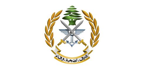 الجيش اللبناني ينفي  التحضير لتنفيذ عملية عسكرية في مخيم عين الحلوة.