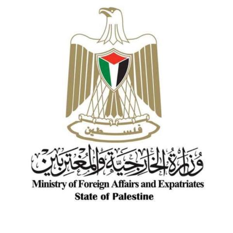 "الخارجية": تغييب إرادة السلام الدولية يفاقم جرائم الاحتلال