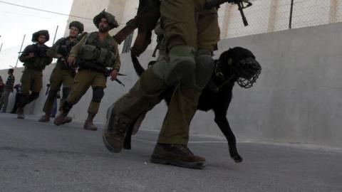 مركز إسرائيلي: فلسطينيات تعرضهن لتفتيش عار تحت التهديد بالخليل