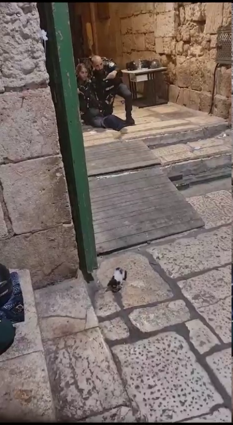 القوات الإسرائيلية تعتقل شابة في القدس القديمة وتستنفر عناصرها