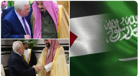"وفا": فلسطين والسعودية.. علاقات متأصلة ووطيدة ذات عمق إستراتيجي