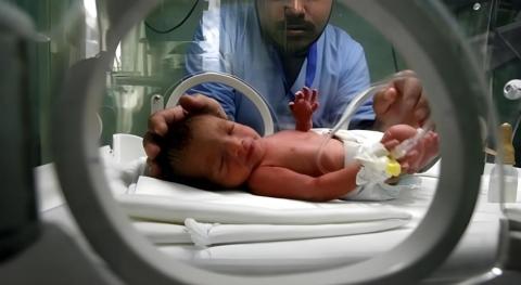قطاع غزة يُسجّل 5141 مولودًا جديدًا خلال أغسطس
