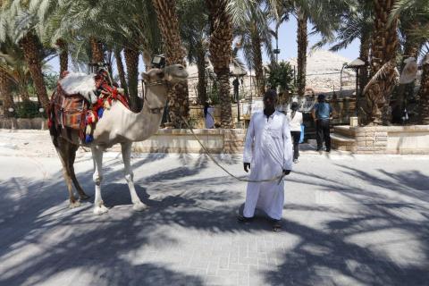 مشاهد من تل السلطان الاثري في مدينة اريحا