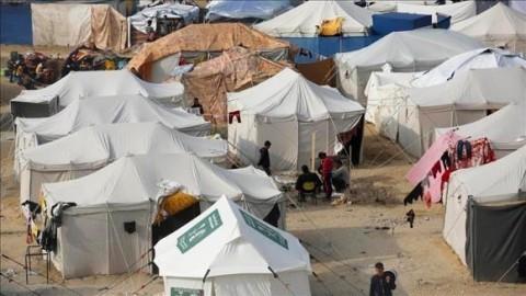 الأمم المتحدة: نشعر بفزع إزاء تقارير "اغتصاب وإعدام فلسطينيات"