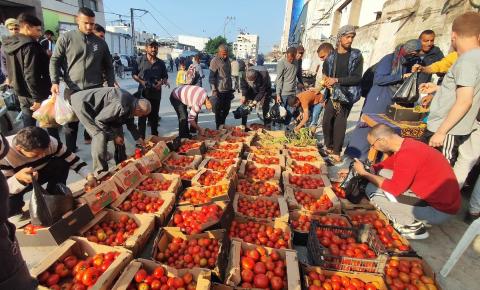 فلسطينيون يتجولون في أحد الأسواق لشراء الخضار والمواد الغذائية في مدينة غزة، 16 أبريل 2024. تصوير: خالد داود