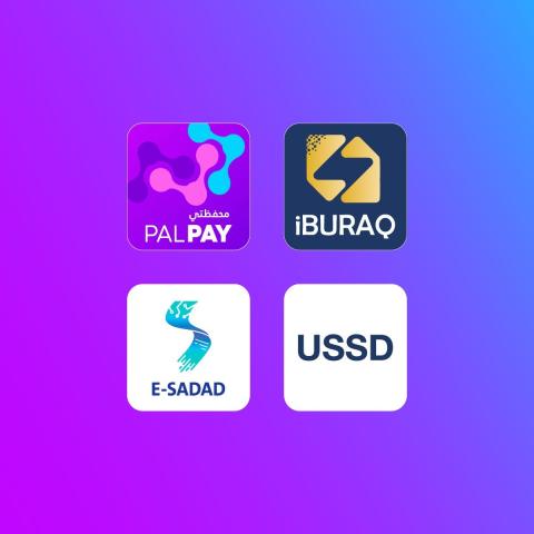 شركة PALPAY