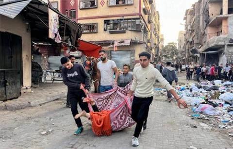 جحيم في جباليا وبيت لاهيا: روايات من قلب المعاناة في شمال غزة