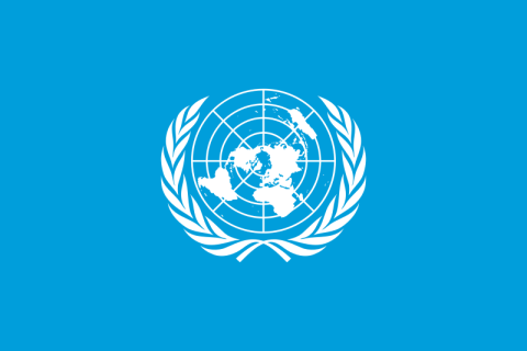 الامم المتحدة.png