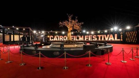 فعاليات الدورة الخامسة والأربعين لمهرجان القاهرة السينمائي الدولي.jpg