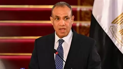 وزير الخارجية المصري الدكتور بدر عبد العاطي.webp