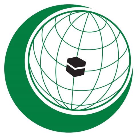 منظمة الكومستيك.jpg