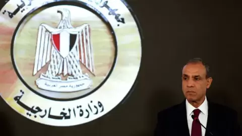 وزير الخارجية المصري بدر عبدالعاطي.webp