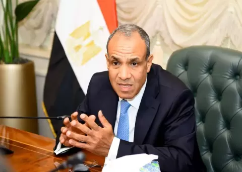 وزير الخارجية المصري.webp