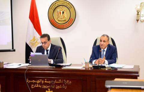 وزير الخارجية المصري ووزير الصحية