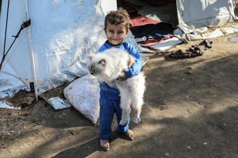 يواجه النازحون الفلسطينيون جراء الهجوم الإسرائيلي المستمر منذ عامين على قطاع غزة ظروفًا إنسانيةً مأساوية
