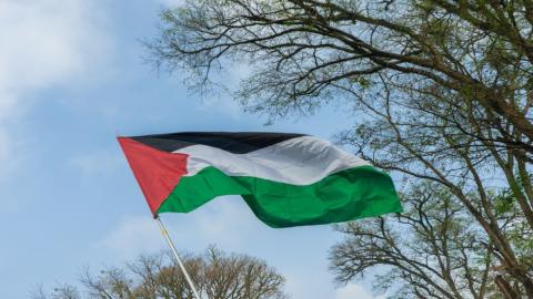علم فلسطين. (istockphoto).jpeg